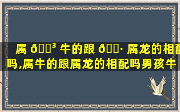 属 🐳 牛的跟 🌷 属龙的相配吗,属牛的跟属龙的相配吗男孩牛女孩龙